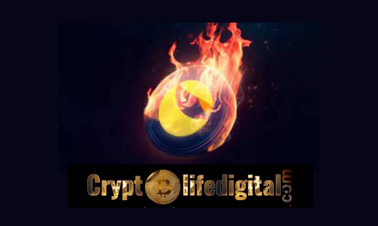 https://backup.cryptolifedigital.com/wp-content/uploads/2023/01/LUNC-Burn-Rate-Spikes-2107-As-Over-5M-LUNC-Is-Burned.jpg
