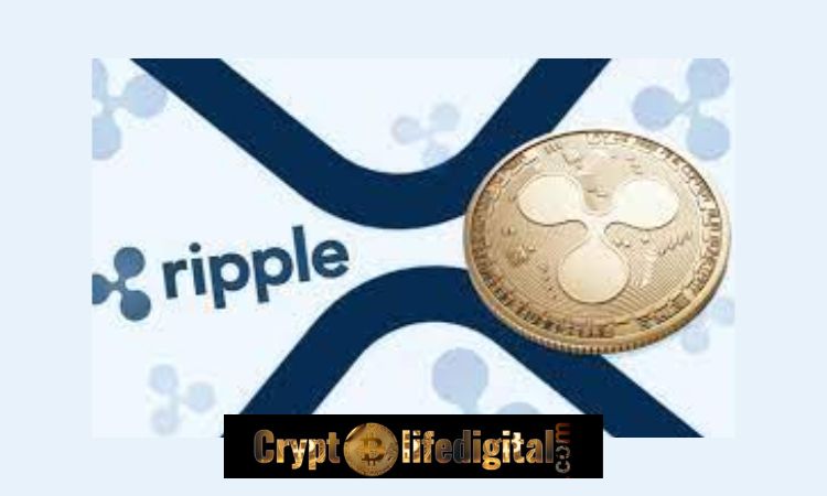 https://backup.cryptolifedigital.com/wp-content/uploads/2023/01/Santiment-Declares-XRP-As-The-Crypto-Pick-For-January.-Heres-Why.jpg