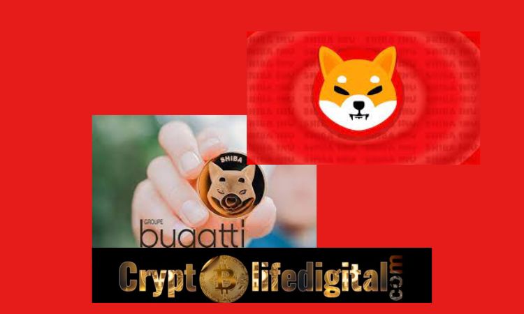 https://backup.cryptolifedigital.com/wp-content/uploads/2023/01/Shiba-Inus-Partner-Bugatti-Group-Announcers-A-Major-Giveaway.jpg