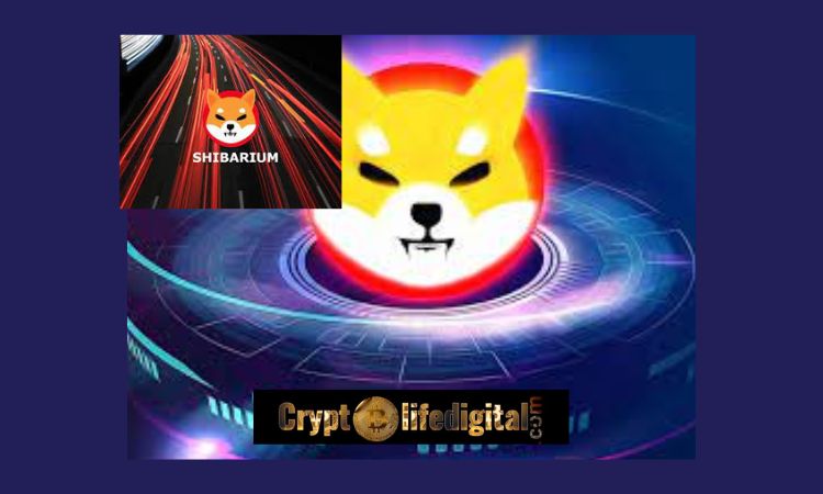 https://backup.cryptolifedigital.com/wp-content/uploads/2023/01/Shiba-Inus-Shytoshi-Hints-At-The-Shibariums-Survival-Capacities.jpg