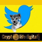 https://backup.cryptolifedigital.com/wp-content/uploads/2023/01/Users-Can-Now-Track-Shiba-Inu-Easily-As-Twitter-Launches-A-Price-Graph-For-The-Asset.jpg