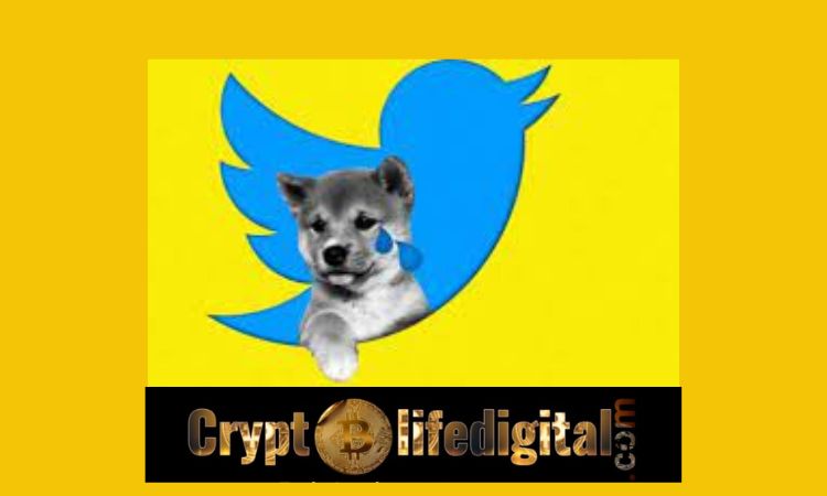 https://backup.cryptolifedigital.com/wp-content/uploads/2023/01/Users-Can-Now-Track-Shiba-Inu-Easily-As-Twitter-Launches-A-Price-Graph-For-The-Asset.jpg