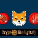 https://backup.cryptolifedigital.com/wp-content/uploads/2023/02/Bone-Shibaswap-unique-Wallet-Addresses-Increases.jpg