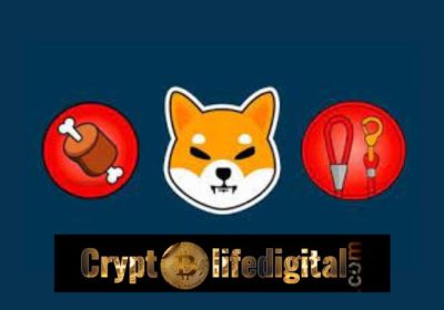 Bone Shibaswap Unique Wallet Now Surpasses 76,000