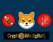 Bone Shibaswap Unique Wallet Now Surpasses 76,000 Bone Shibaswap Unique Wallet Now Surpasses 76,000