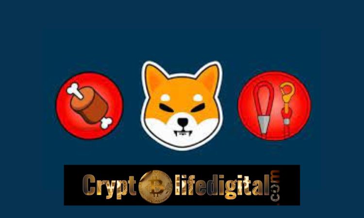 https://backup.cryptolifedigital.com/wp-content/uploads/2023/02/Bone-Shibaswap-unique-Wallet-Addresses-Increases.jpg