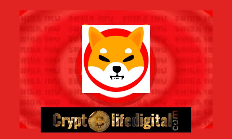 https://backup.cryptolifedigital.com/wp-content/uploads/2023/02/Join-Shibarium-To-Serve-As-A-Hub.jpg