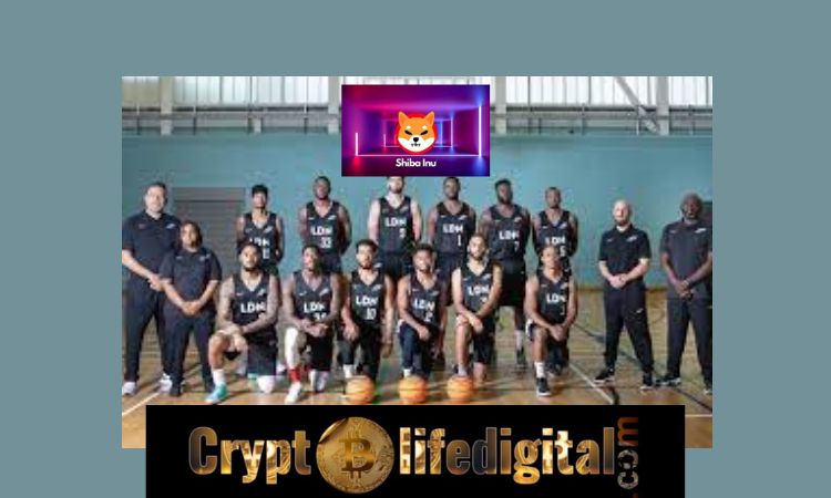 https://backup.cryptolifedigital.com/wp-content/uploads/2023/02/London-Lions-Basketball-Team-Now-Supports-Shiba-Inu.jpg