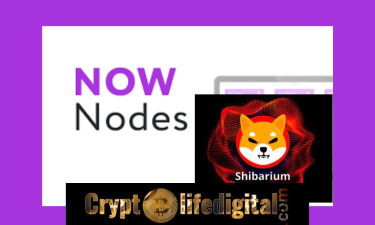 https://backup.cryptolifedigital.com/wp-content/uploads/2023/02/NOWNodes-To-Offer-Shared-And-Dedicated-Access-To-the-Forthcoming-Shibarium-Blockchain.jpg