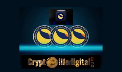 Rex Harrison Of TerraCVita Points Out Seven Risks Currently Facing The LUNC Blockchain. Check It Out
