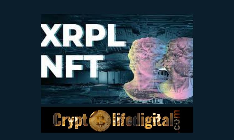 https://backup.cryptolifedigital.com/wp-content/uploads/2023/02/Ripple-CTO-David-Schwartz-Gives-A-Nod-To-XRP-Ledger-based-NFT-Marketplace.jpg