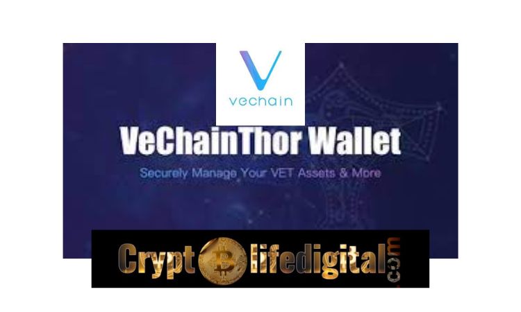 https://backup.cryptolifedigital.com/wp-content/uploads/2023/02/VeChainThor-Addresses-Shoots-Beyond-2-Million.jpg