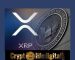 XRP Market Faces Buying Pressure As It Enters Top 10 Purchased Tokens Among 500 BSC Whales XRP Market Faces Buying Pressure As It Enters Top 10 Purchased Tokens Among 500 BSC Whales