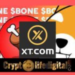 https://backup.cryptolifedigital.com/wp-content/uploads/2023/02/XT.com-Adds-Support-For-Shiba-Inus-BONE.jpg
