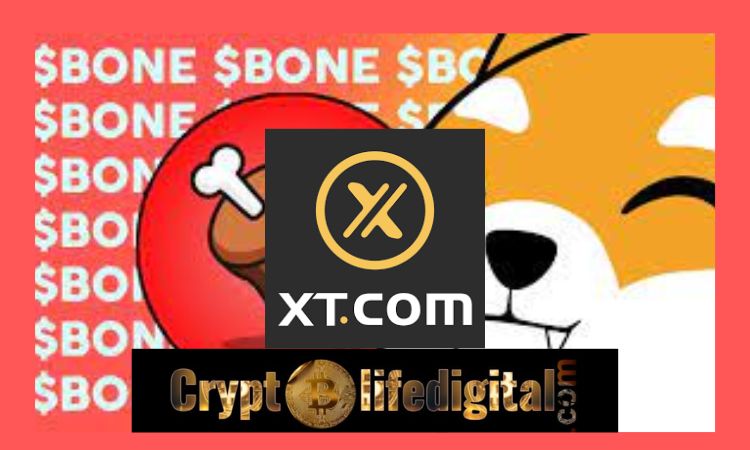 https://backup.cryptolifedigital.com/wp-content/uploads/2023/02/XT.com-Adds-Support-For-Shiba-Inus-BONE.jpg