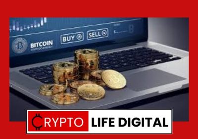 Crypto Trading Strategies For Beginners