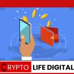 Crypto Wallets For Beginners