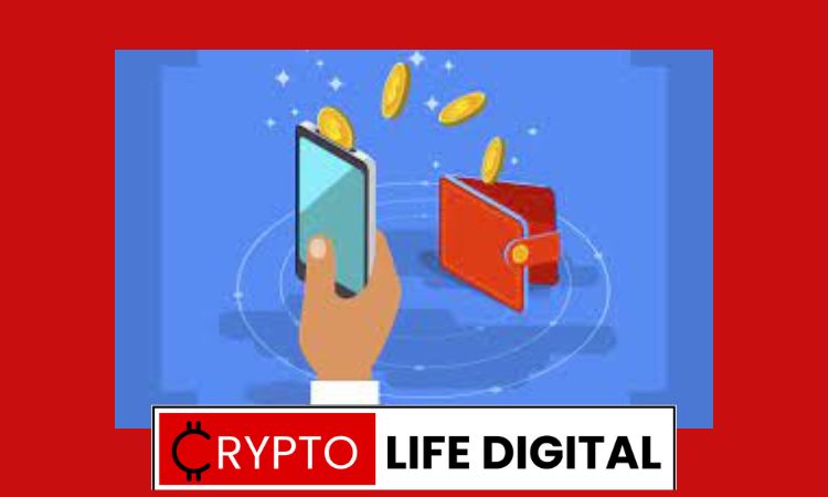 Crypto Wallets For Beginners