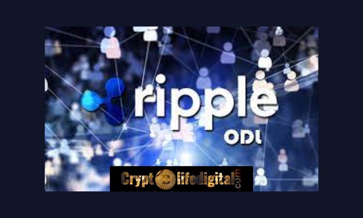 https://backup.cryptolifedigital.com/wp-content/uploads/2023/03/Payment-Leaders-Support-Crypto-For-Fast-And-Effective-Payments.jpg