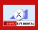 Ripple Whales Move Almost 1 Billion XRP Following The SVB Exposure Ripple Whales Move Almost 1 Billion XRP Following The SVB Exposure