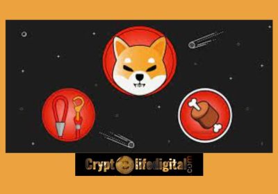Shiba Inu (SHIB) Emerges As The Top Token On CoinMarketCap While BONE Also Takes The 10th Spot