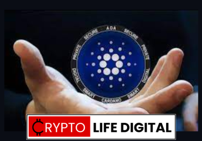 Cardano’s Optimistic Start to the Week Sparks Investor Excitement
