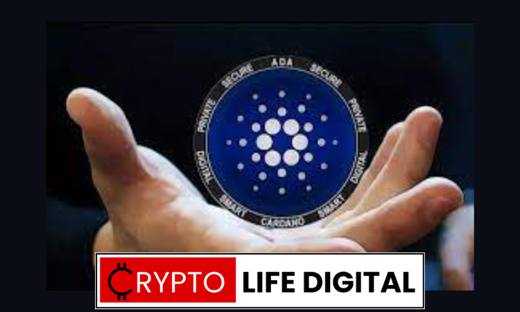 Tax Reporting On Cardano