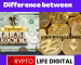 The Differences Between Fiat Money And Cryptocurrency The Differences Between Fiat Money And Cryptocurrency