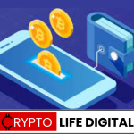 how to choose the right crypto wallet