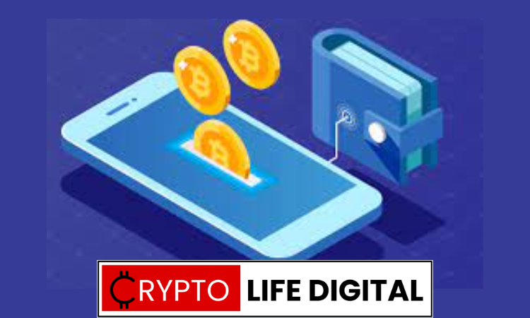 how to choose the right crypto wallet