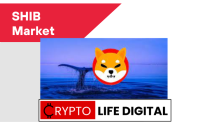 19th Largest Holder Of Shiba Inu Make Another Headline Accumulating Over 150B SHIB