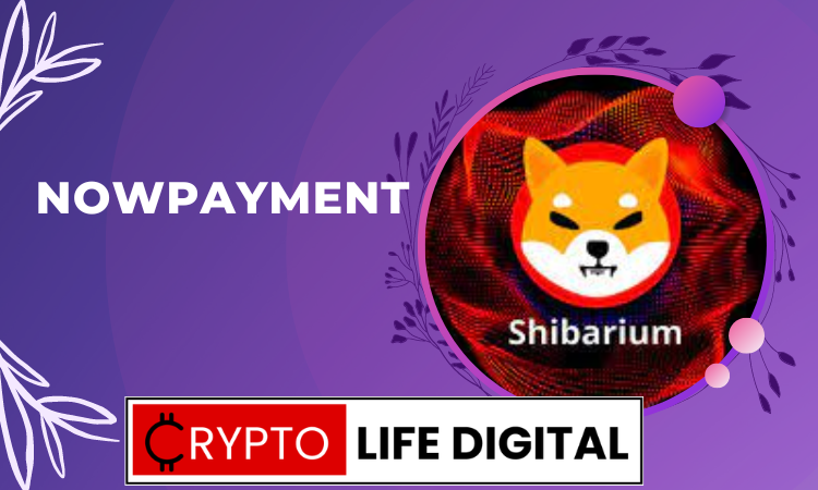 https://backup.cryptolifedigital.com/wp-content/uploads/2023/04/NOWPayment-To-Integrate-Shibarium-33.png