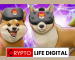 Shiba Inu Announces The Winner Of Its Shibarium Discord XP Giveaway Shiba Inu Announces The Winner Of Its Shibarium Discord XP Giveaway