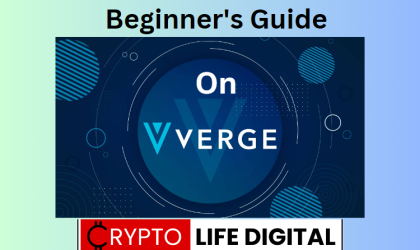 What is Verge: Beginners Guide