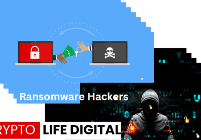 Ransomware Hackers: Steps To Protect Your Assets