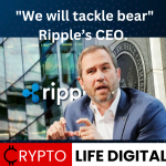 https://backup.cryptolifedigital.com/wp-content/uploads/2023/05/We-are-ready-to-tackle-the-Bear-atmosphere-says-Ripples-CEO-1.png
