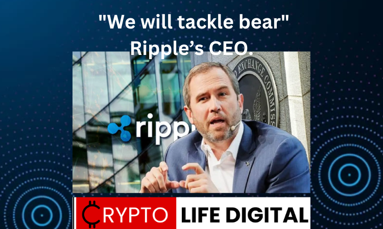 https://backup.cryptolifedigital.com/wp-content/uploads/2023/05/We-are-ready-to-tackle-the-Bear-atmosphere-says-Ripples-CEO-1.png