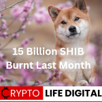 https://backup.cryptolifedigital.com/wp-content/uploads/2023/06/15-Billion-SHIB-Burnt-Last-Month-1.png