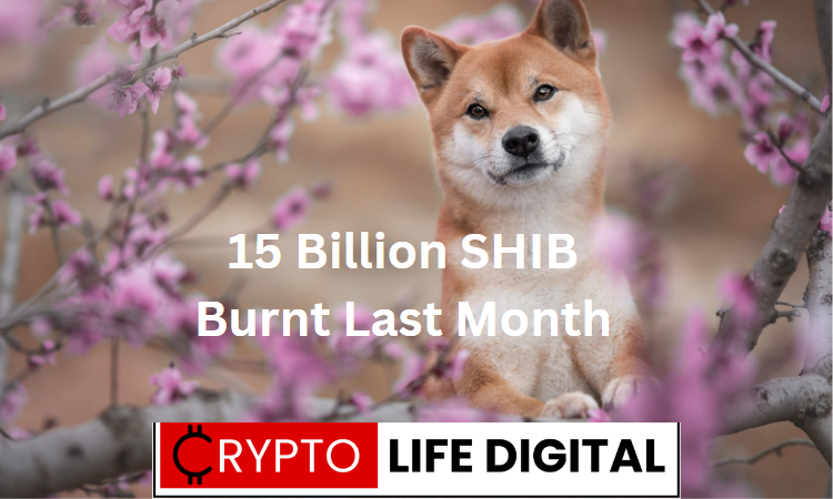 https://backup.cryptolifedigital.com/wp-content/uploads/2023/06/15-Billion-SHIB-Burnt-Last-Month-1.png