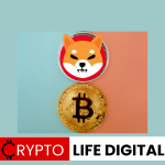 Bitcoin And SHIB Has Some Similarities