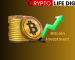 Overview Of Bitcoin Investment Overview Of Bitcoin Investment