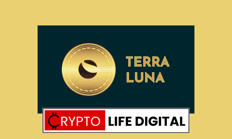LUNC Investors Turn to Price Predictions