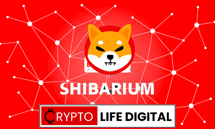 Puppynet, the Beta Testnet of Shibarium