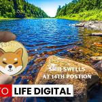 https://backup.cryptolifedigital.com/wp-content/uploads/2023/06/SHIB-Swells-At-14th-Postion.png
