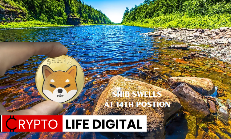 https://backup.cryptolifedigital.com/wp-content/uploads/2023/06/SHIB-Swells-At-14th-Postion.png