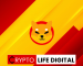 Shiba Inu Community Abuzz with Exciting Developments and Teasers Shiba Inu Community Abuzz with Exciting Developments and Teasers