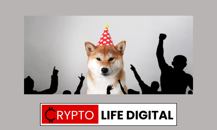 Shiba Inu Has An Overwhelming Social Engagement