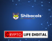 Shiba Inu Developer Shytoshi Kusama Teases Shibacals, Further Advancing Shibarium Development