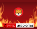 Shiba Inu Burn Rate Surges with Massive 650 Million SHIB Transaction Shiba Inu Burn Rate Surges with Massive 650 Million SHIB Transaction