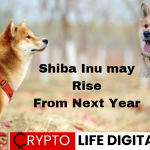 https://backup.cryptolifedigital.com/wp-content/uploads/2023/06/Shiba-Inu-may-Rise-From-Next-Year.png